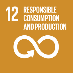 12 - Responsible Consumption