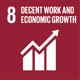 8 - Decent Work and Economic Growth